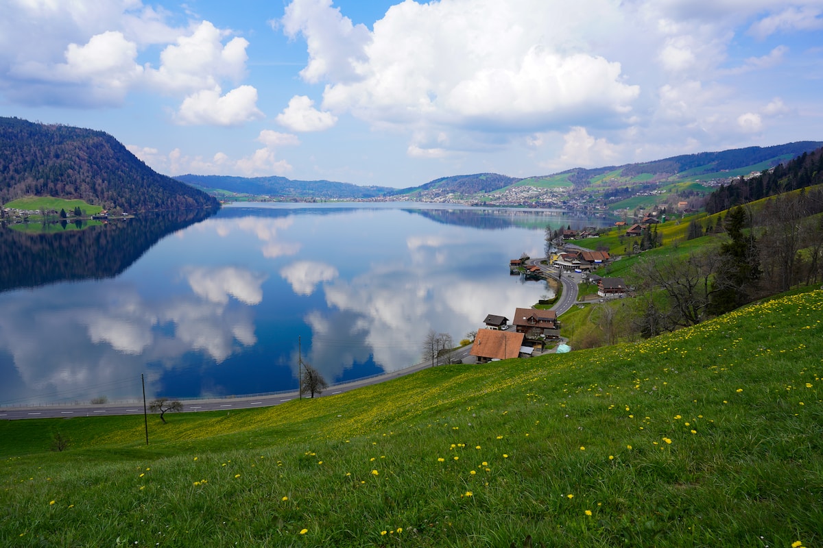 green grass field near lake under blue sky during daytime